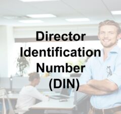 Implementation of Director Identification Numbers